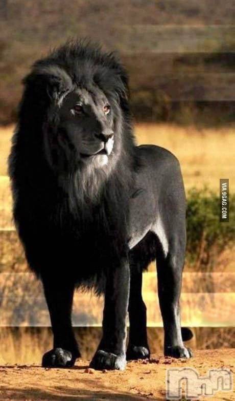 ��ˬ����Х��顦�����CLUB K����Prologue��(����֥���) ��ë �椤��7��7���̥�֥�����(♥)��