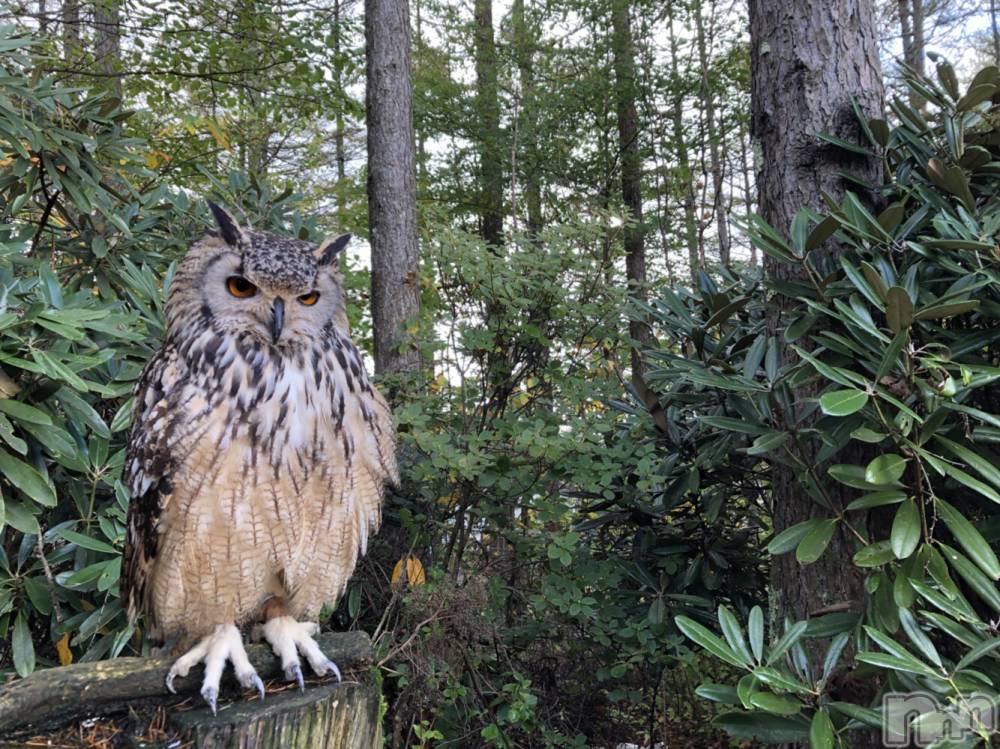 ��ˬ����Х��顦�����CLUB K����Prologue��(����֥���) ��ë �椤��8��17���̥�֥�����(♥)��