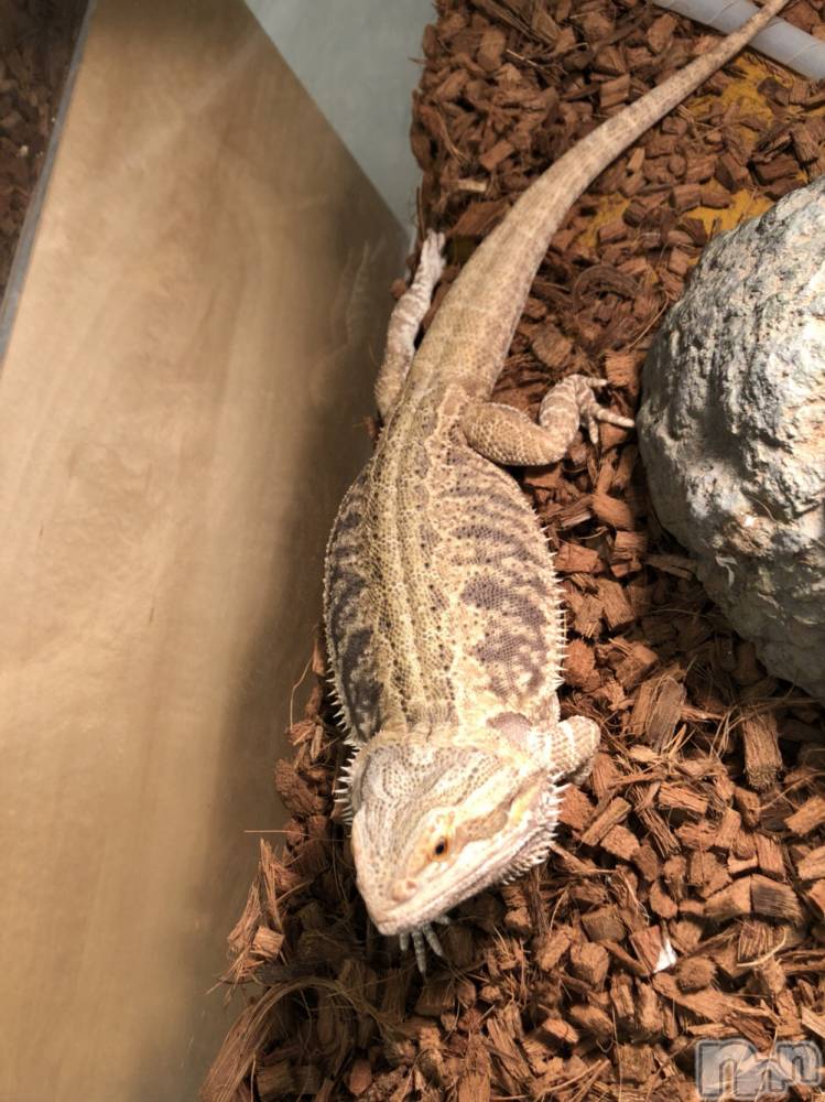 ��ˬ����Х��顦�����CLUB K����Prologue��(����֥���) ��ë �椤��9��20���̥�֥�����(♥)��