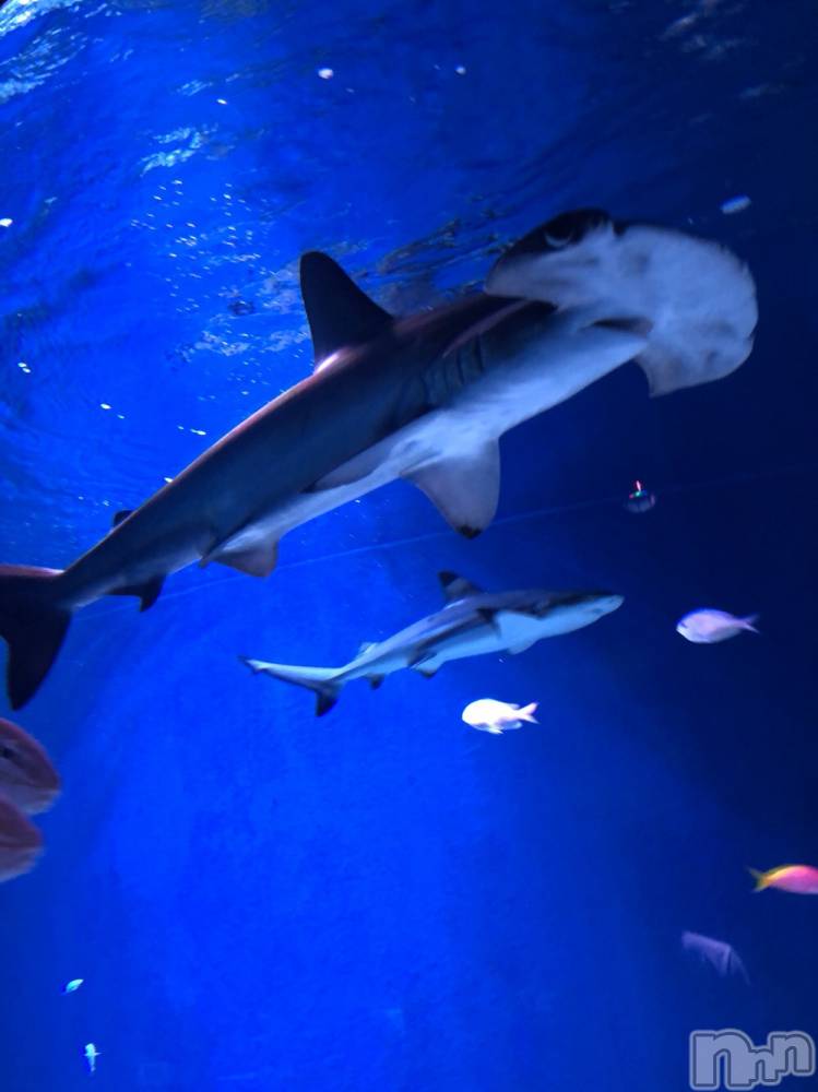 ��ˬ����Х��顦�����CLUB K����Prologue��(����֥���) ��ë �椤��9��25���̥�֥�����(♥)��