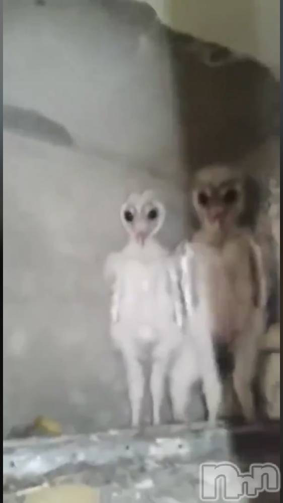 ��ˬ����Х��顦�����CLUB K����Prologue��(����֥���) ��ë �椤��12��14���̥�֥�����(♥)��