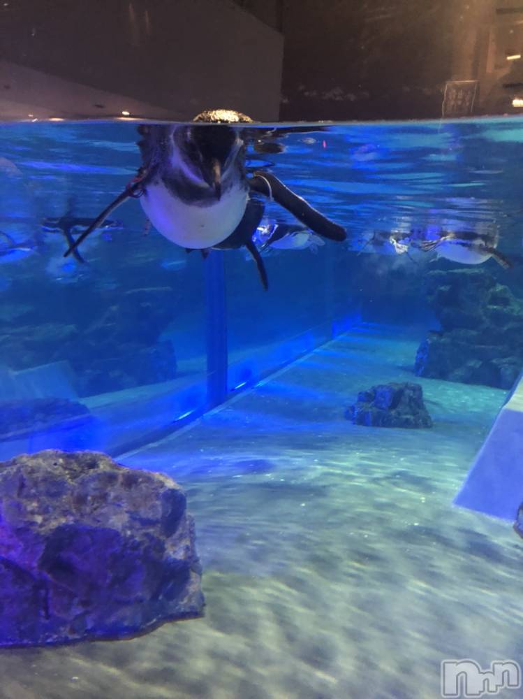 ��ˬ����Х��顦�����CLUB K����Prologue��(����֥���) ��ë �椤��3��27���̥�֥�����(♥)��