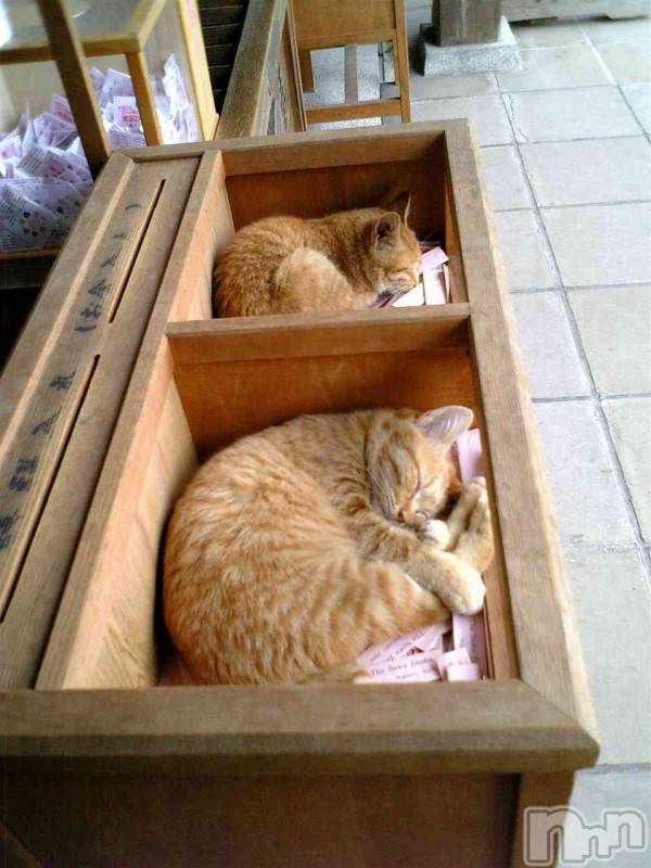 ��ˬ����Х��顦�����CLUB K����Prologue��(����֥���) ��ë �椤��4��3���̥�֥�����(♥)��