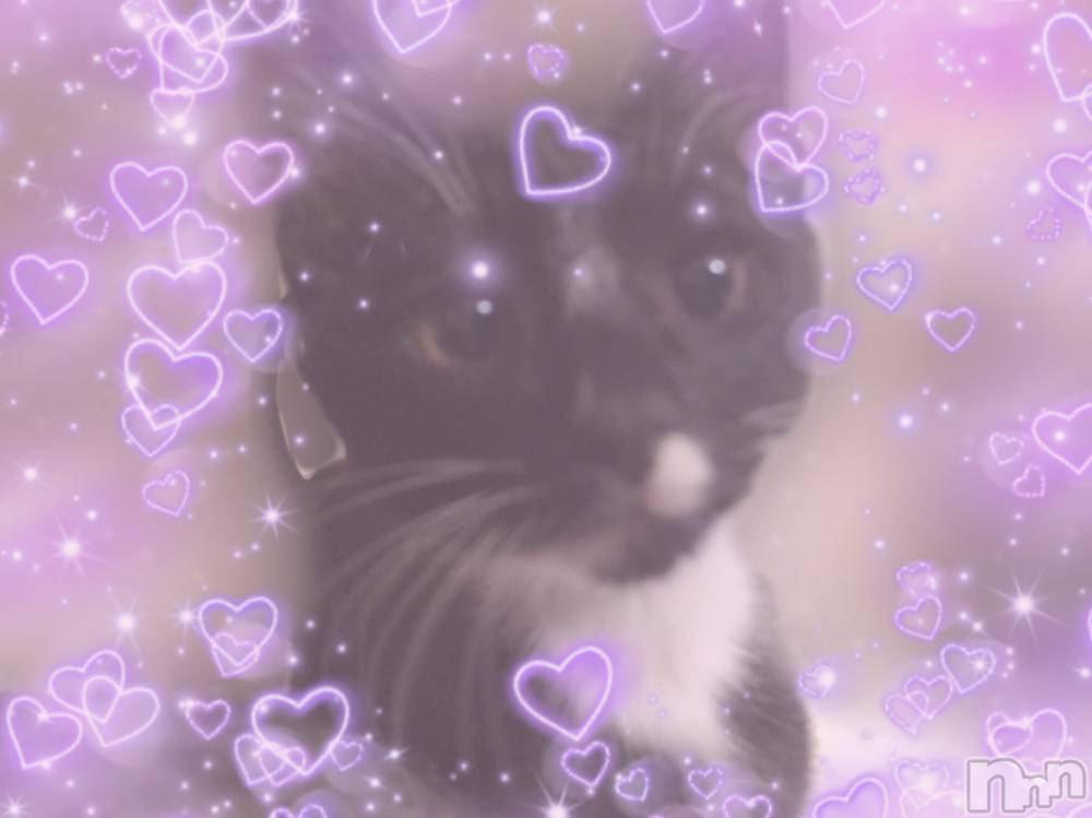 ��ˬ����Х��顦�����CLUB K����Prologue��(����֥���) ��ë �椤��6��7���̥�֥�����(♥)��