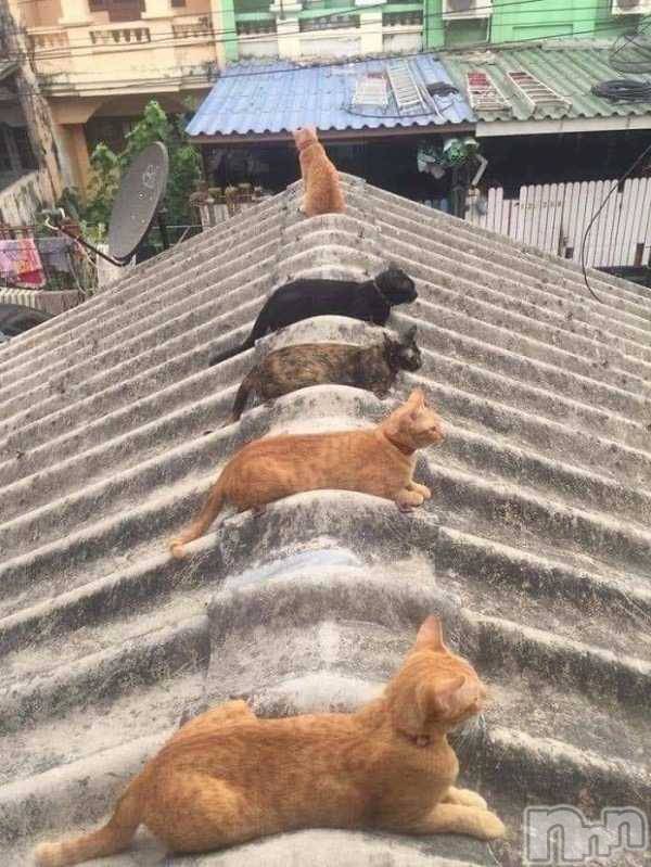 ��ˬ����Х��顦�����CLUB K����Prologue��(����֥���) ��ë �椤��6��15���̥�֥�����(♥)��