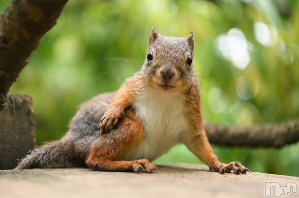 ��ˬ����Х��顦�����CLUB K����Prologue��(����֥���) ��ë �椤��6��19���̥�֥�����(♥)��