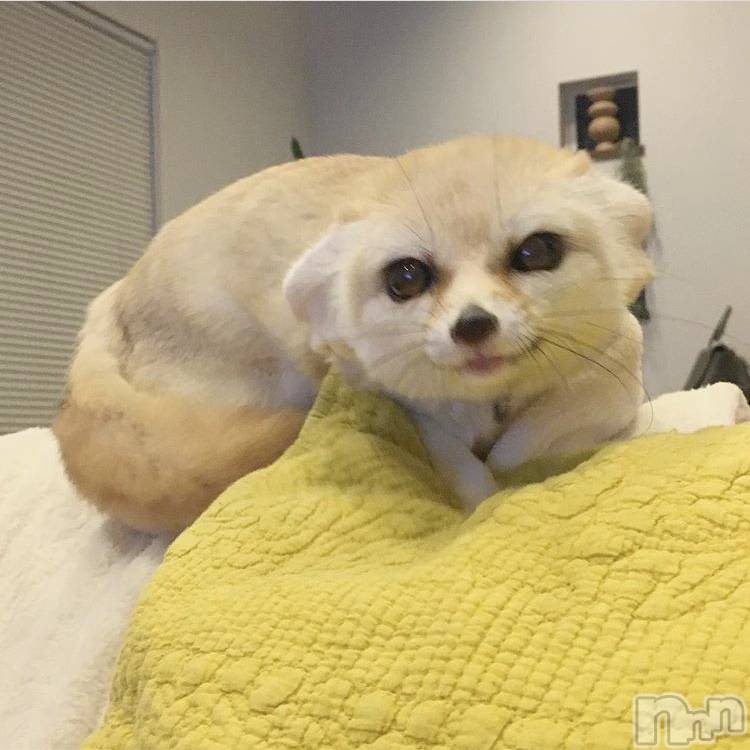 ��ˬ����Х��顦�����CLUB K����Prologue��(����֥���) ��ë �椤��6��27���̥�֥�����(♥)��