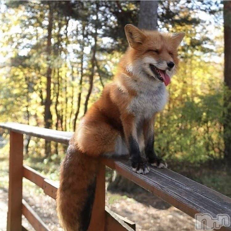 ��ˬ����Х��顦�����CLUB K����Prologue��(����֥���) ��ë �椤��6��30���̥�֥�����(♥)��