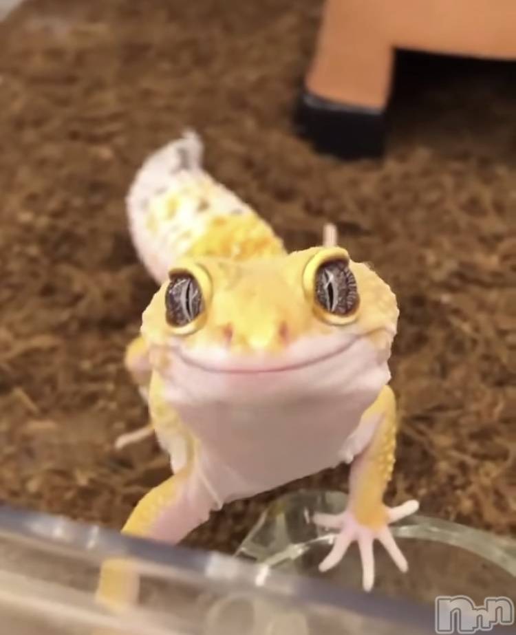 ��ˬ����Х��顦�����CLUB K����Prologue��(����֥���) ��ë �椤��8��17���̥�֥�����(♥)��