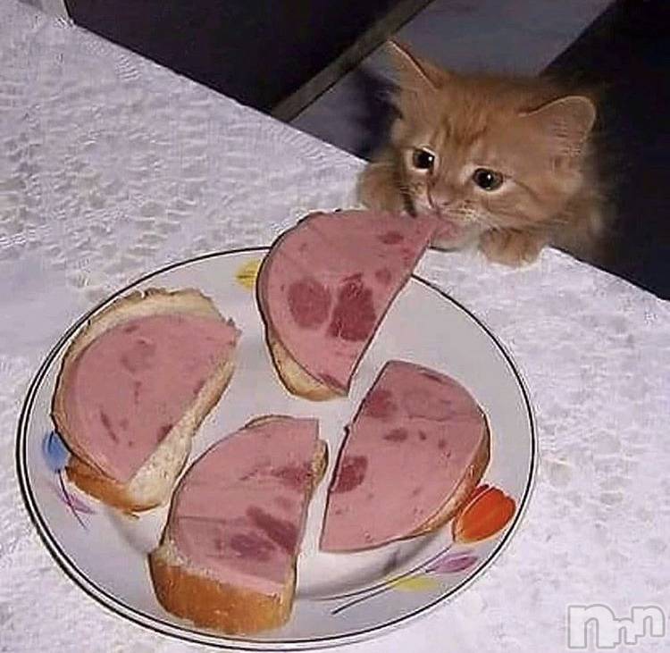 ��ˬ����Х��顦�����CLUB K����Prologue��(����֥���) ��ë �椤��9��9���̥�֥�����(♥)��