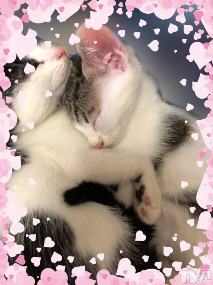 ��ˬ����Х��顦�����CLUB K����Prologue��(����֥���) ��ë �椤��8��3���̥�֥�����(♥)��