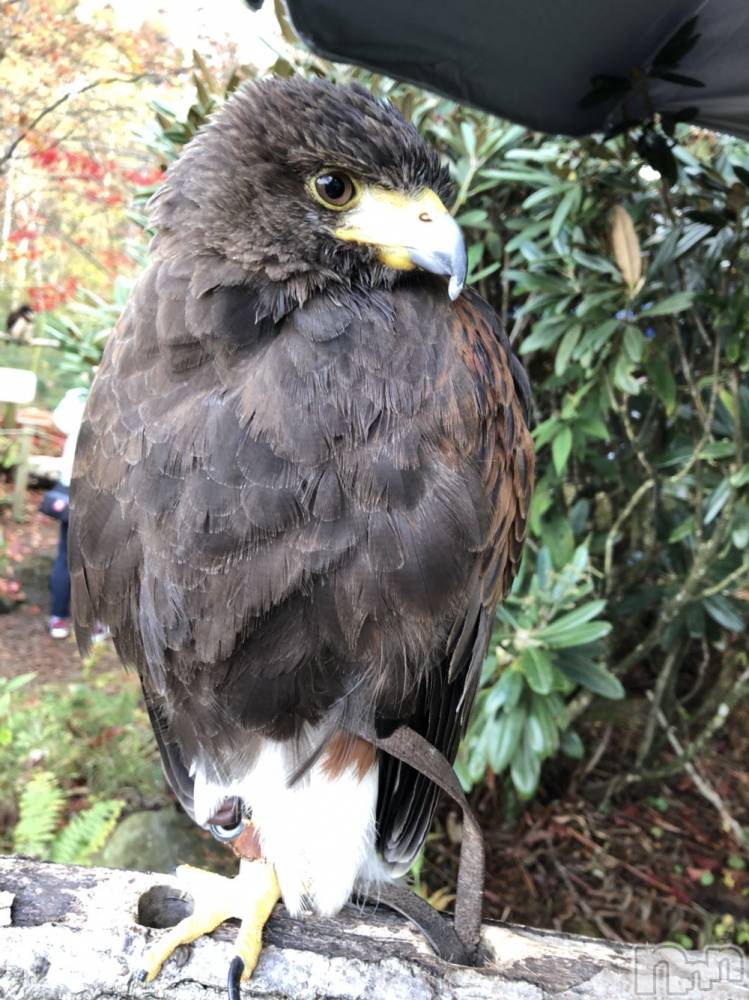 ��ˬ����Х��顦�����CLUB K����Prologue��(����֥���) ��ë �椤��11��2���̥�֥�����(♥)��