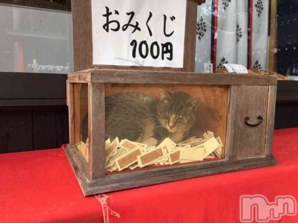 ��ˬ����Х��顦�����CLUB K����Prologue��(����֥���) ��ë �椤��11��5���̥�֥�����(♥︎︎)��