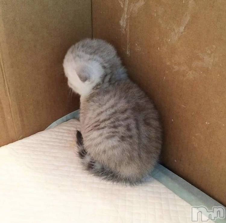 ��ˬ����Х��顦�����CLUB K����Prologue��(����֥���) ��ë �椤��2��22���̥�֥�����(♥)��