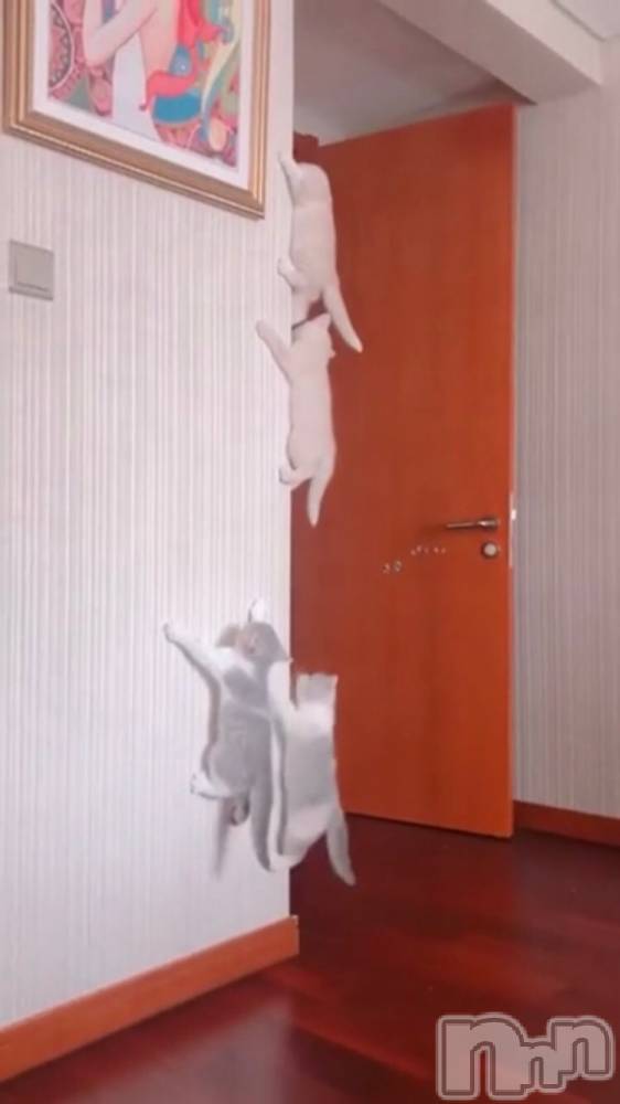 ��ˬ����Х��顦�����CLUB K����Prologue��(����֥���) ��ë �椤��3��2���̥�֥�����(♥)��