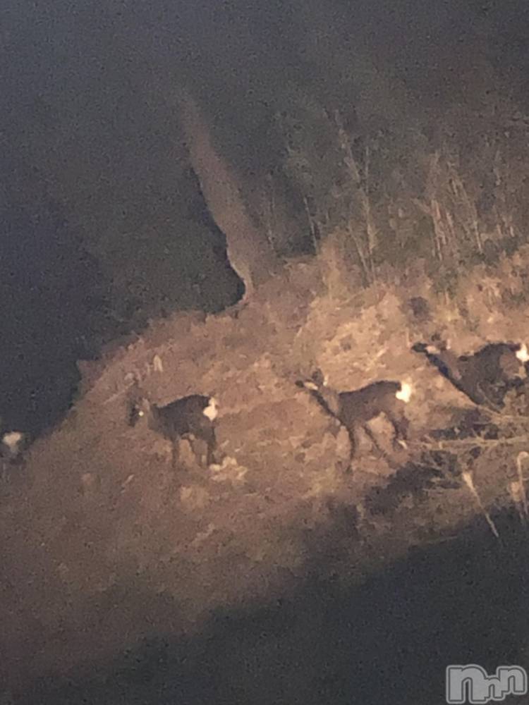 ��ˬ����Х��顦�����CLUB K����Prologue��(����֥���) ��ë �椤��3��14���̥�֥�����(♥)��