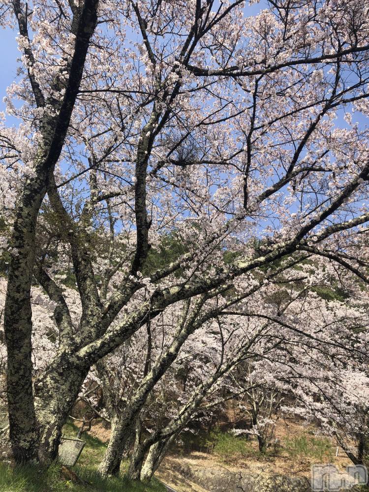 ��ˬ����Х��顦�����CLUB K����Prologue��(����֥���) ��ë �椤��4��21���̥�֥�����(♥)��