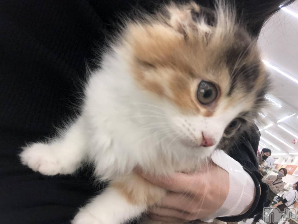 ��ˬ����Х��顦�����CLUB K����Prologue��(����֥���) ��ë �椤��5��4���̥�֥�����(♥)��