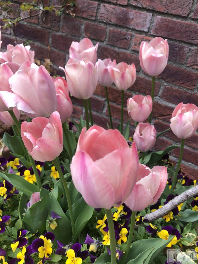 ��ˬ����Х��顦�����CLUB K����Prologue��(����֥���) ��ë �椤��5��16���̥�֥�����(♥)��