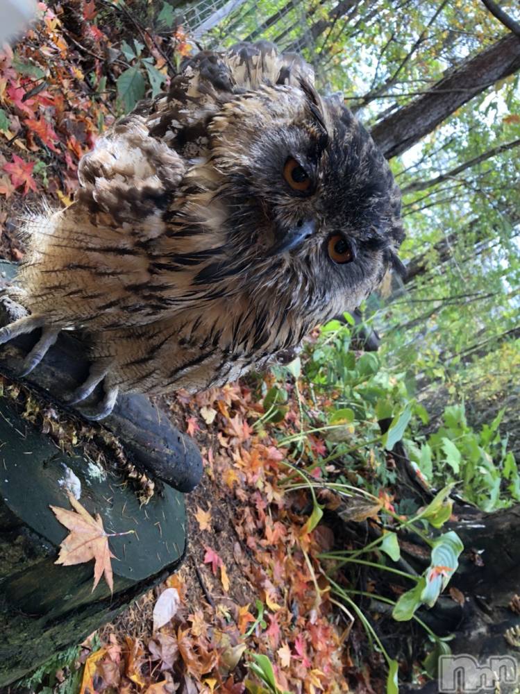 ��ˬ����Х��顦�����CLUB K����Prologue��(����֥���) ��ë �椤��3��23���̥�֥�����(♥)��