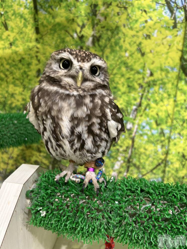 ��ˬ����Х��顦�����CLUB K����Prologue��(����֥���) ��ë �椤��6��13���̥�֥�����(♥)��