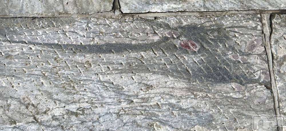 ��ˬ����Х��顦�����CLUB K����Prologue��(����֥���) ��ë �椤��12��16���̥�֥�����(♥︎)��