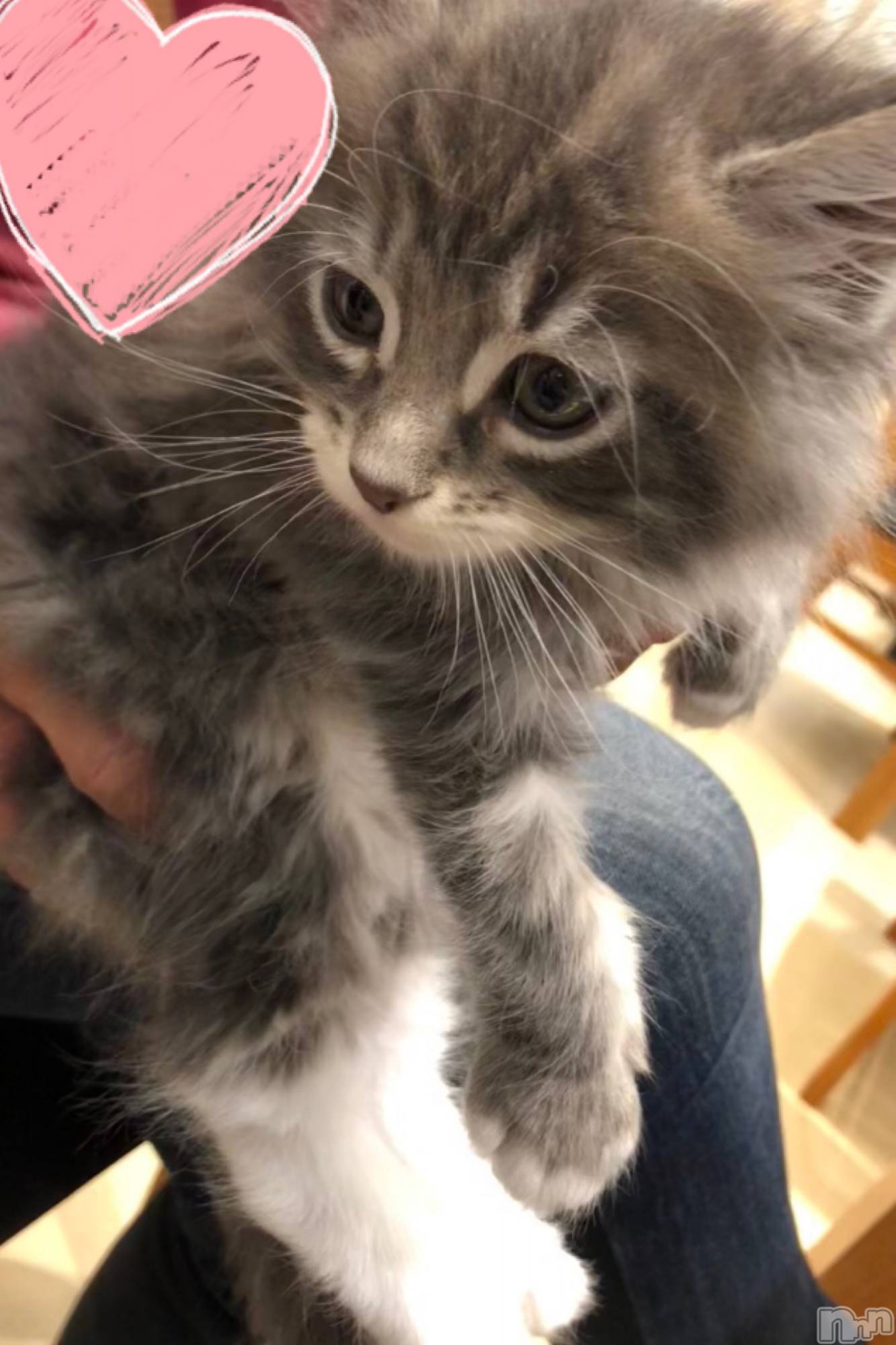 ��ˬ����Х��顦�����CLUB K����Prologue��(����֥���) ��2019ǯ4��17���̥�֥�����(♥)��