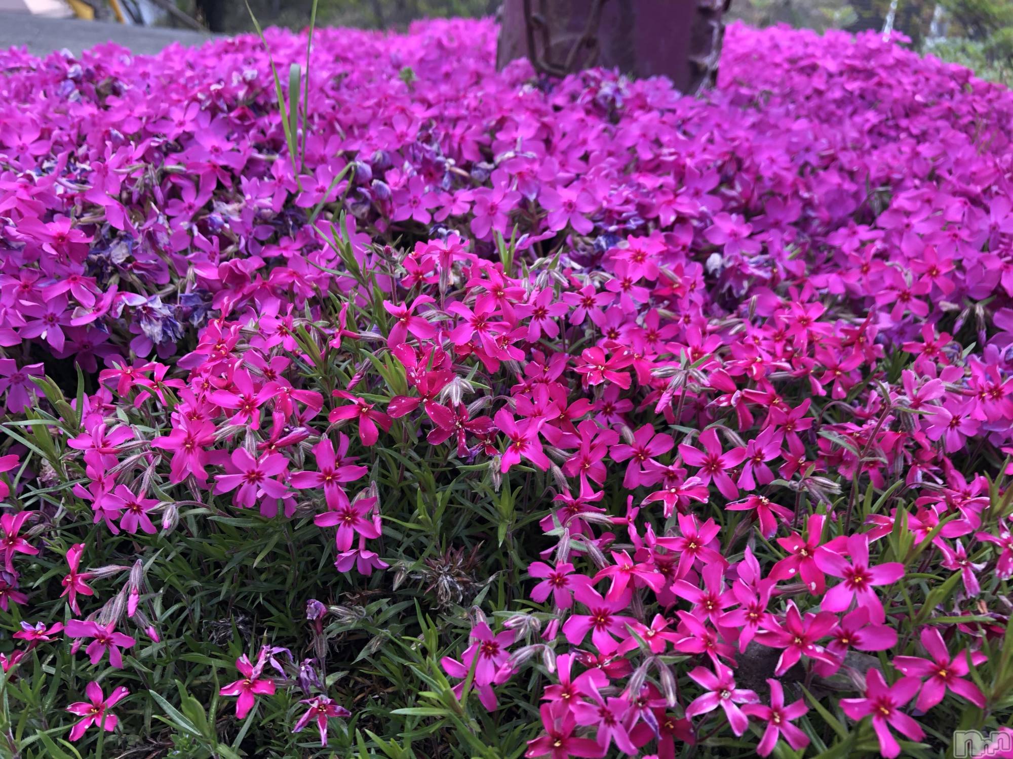 ��ˬ����Х��顦�����CLUB K����Prologue��(����֥���) ��2019ǯ5��17���̥�֥�����(♥)��