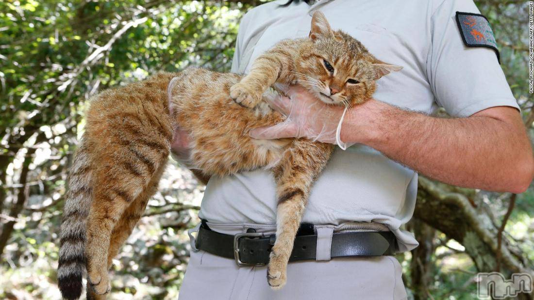 ��ˬ����Х��顦�����CLUB K����Prologue��(����֥���) ��2019ǯ6��30���̥�֥�����(♥)��