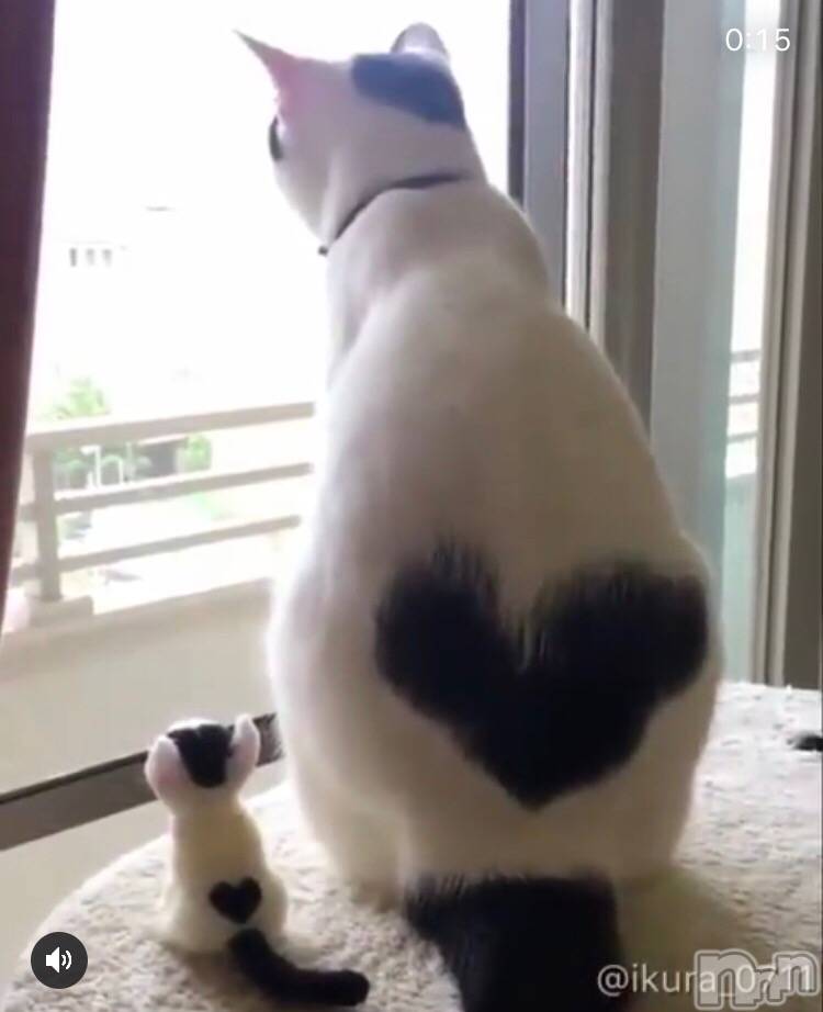 ��ˬ����Х��顦�����CLUB K����Prologue��(����֥���) ��2019ǯ8��22���̥�֥�����(♥)��