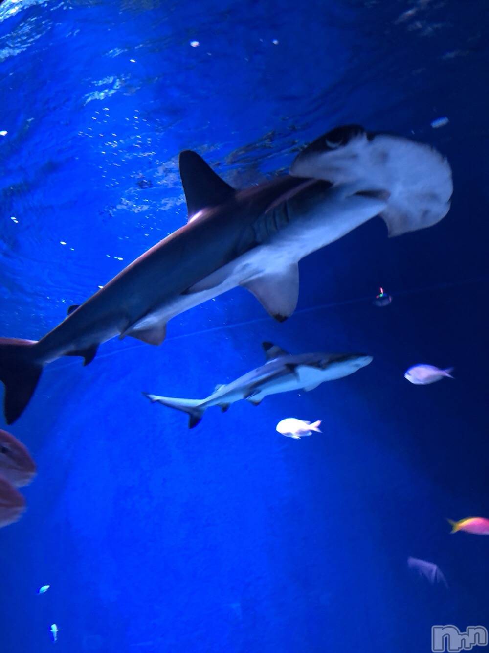 ��ˬ����Х��顦�����CLUB K����Prologue��(����֥���) ��2019ǯ9��25���̥�֥�����(♥)��