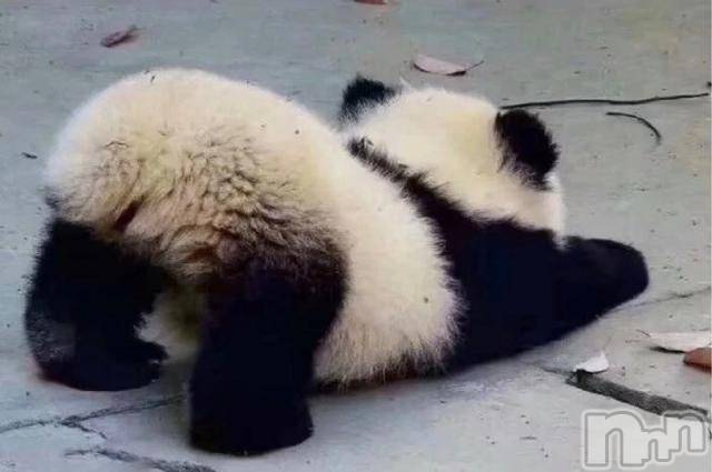 ��ˬ����Х��顦�����CLUB K����Prologue��(����֥���) ��2019ǯ11��1���̥�֥�����(♥)��