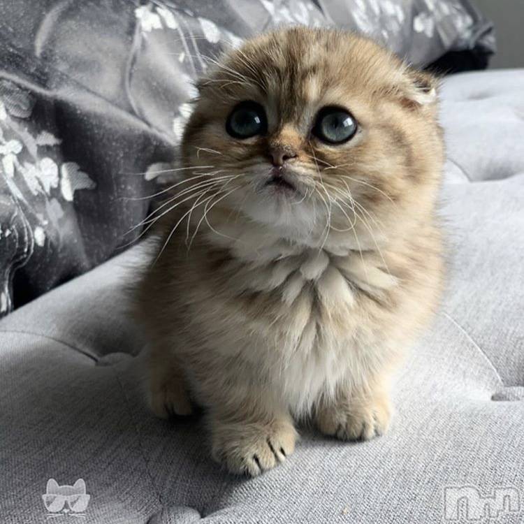 ��ˬ����Х��顦�����CLUB K����Prologue��(����֥���) ��2019ǯ12��9���̥�֥�����(♥)��