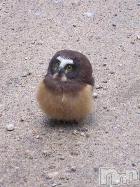 ��ˬ����Х��顦�����CLUB K����Prologue��(����֥���) ��2019ǯ11��27���̥�֥�����(♥)��