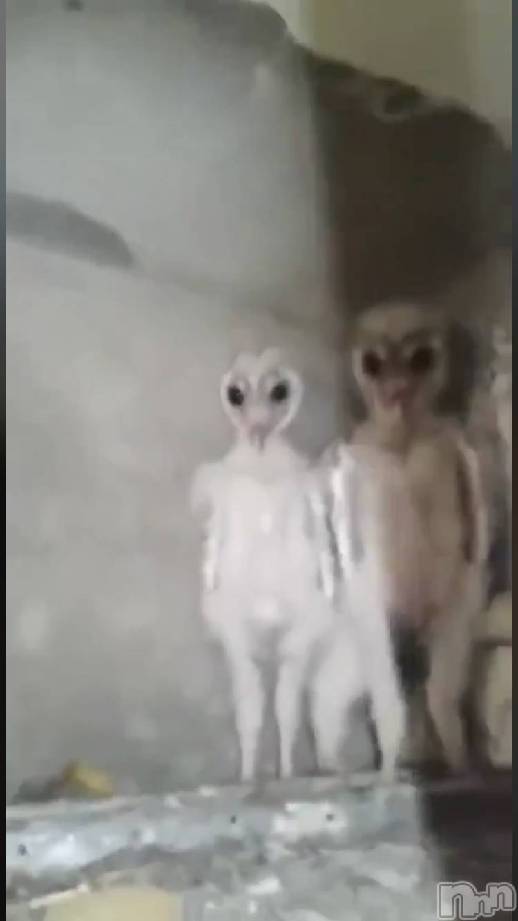 ��ˬ����Х��顦�����CLUB K����Prologue��(����֥���) ��2019ǯ12��14���̥�֥�����(♥)��