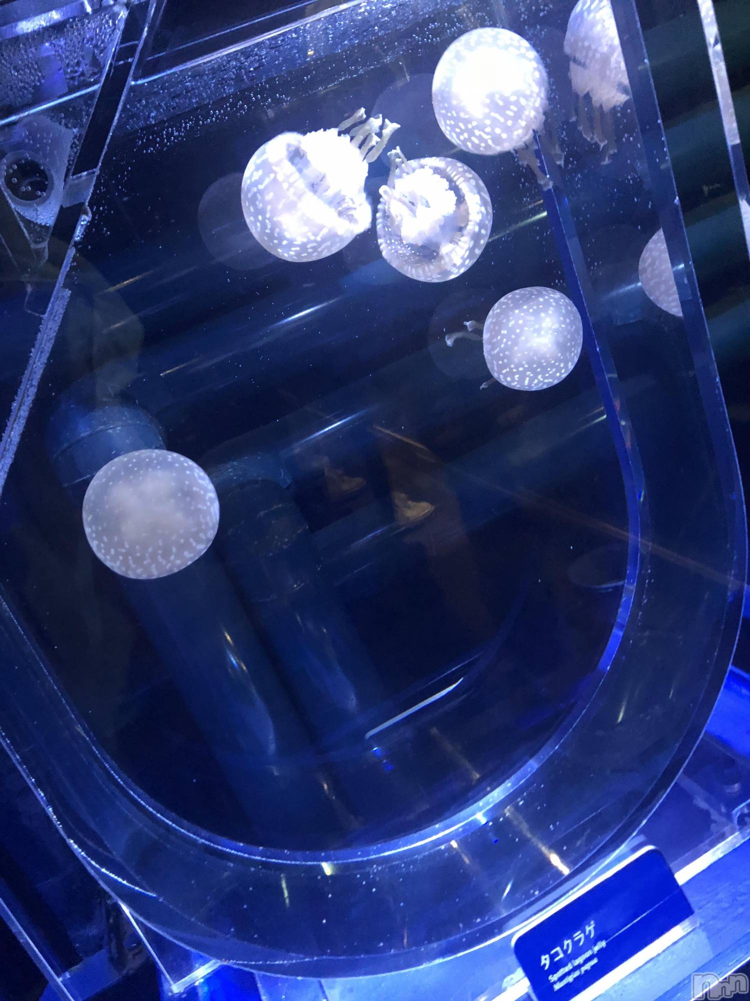 ��ˬ����Х��顦�����CLUB K����Prologue��(����֥���) ��2019ǯ12��23���̥�֥�����(♥)��