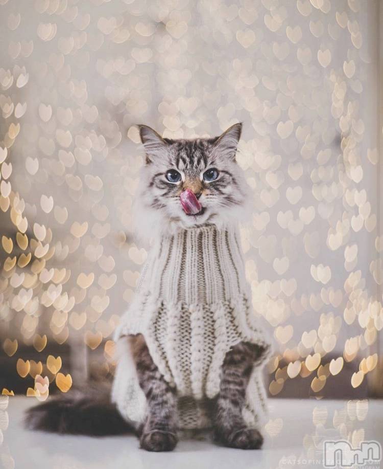 ��ˬ����Х��顦�����CLUB K����Prologue��(����֥���) ��2020ǯ2��22���̥�֥�����(♥)��