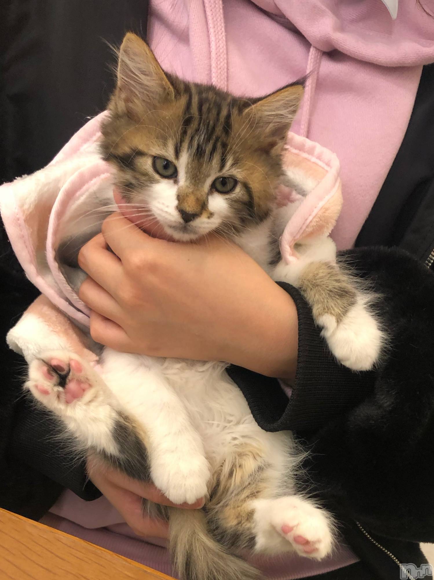 ��ˬ����Х��顦�����CLUB K����Prologue��(����֥���) ��2020ǯ3��16���̥�֥�����(♥)��