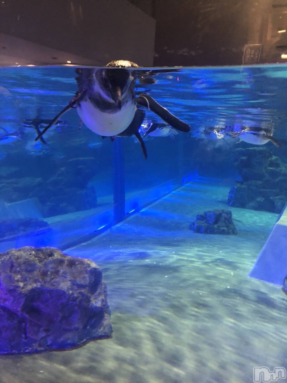 ��ˬ����Х��顦�����CLUB K����Prologue��(����֥���) ��2020ǯ3��27���̥�֥�����(♥)��