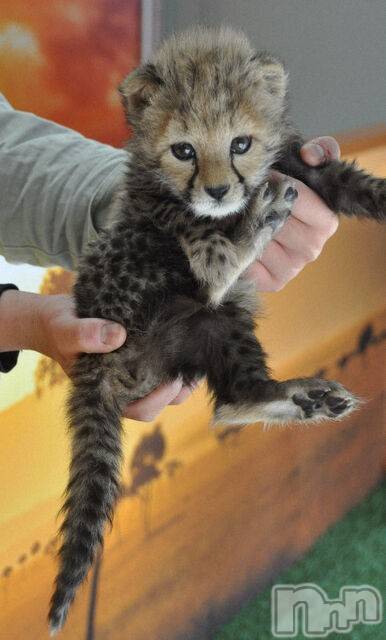 ��ˬ����Х��顦�����CLUB K����Prologue��(����֥���) ��2020ǯ4��14���̥�֥�����(♥)��