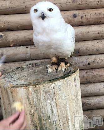 ��ˬ����Х��顦�����CLUB K����Prologue��(����֥���) ��2020ǯ6��2���̥�֥�����(♥)��