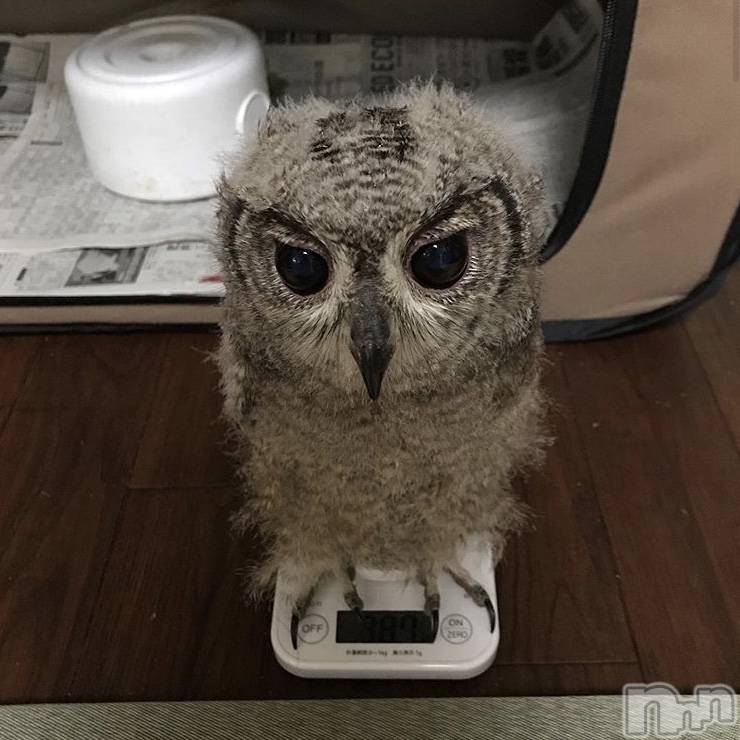 ��ˬ����Х��顦�����CLUB K����Prologue��(����֥���) ��2020ǯ8��22���̥�֥�����(♥)��