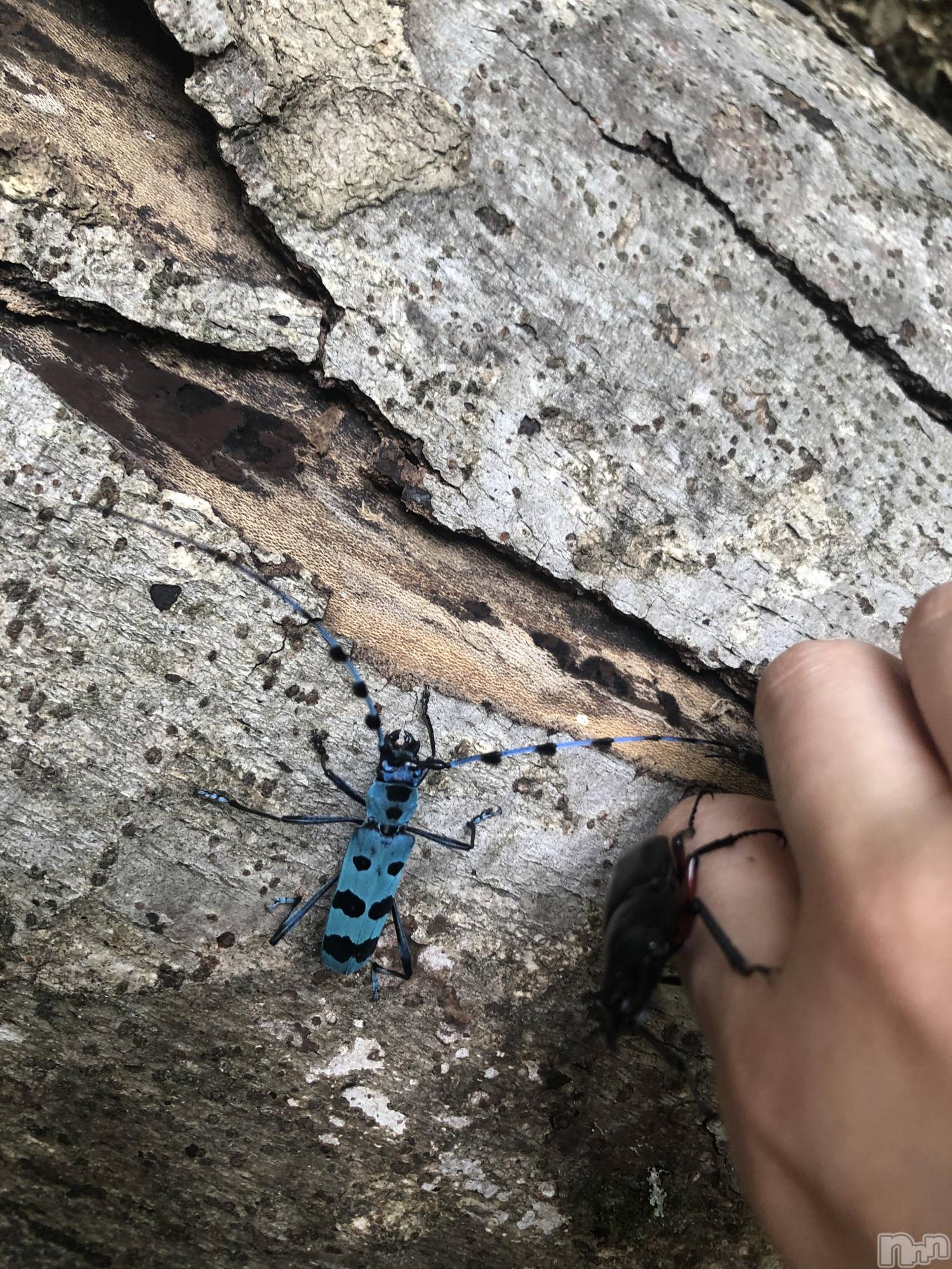 ��ˬ����Х��顦�����CLUB K����Prologue��(����֥���) ��2020ǯ8��30���̥�֥�����(♥)��