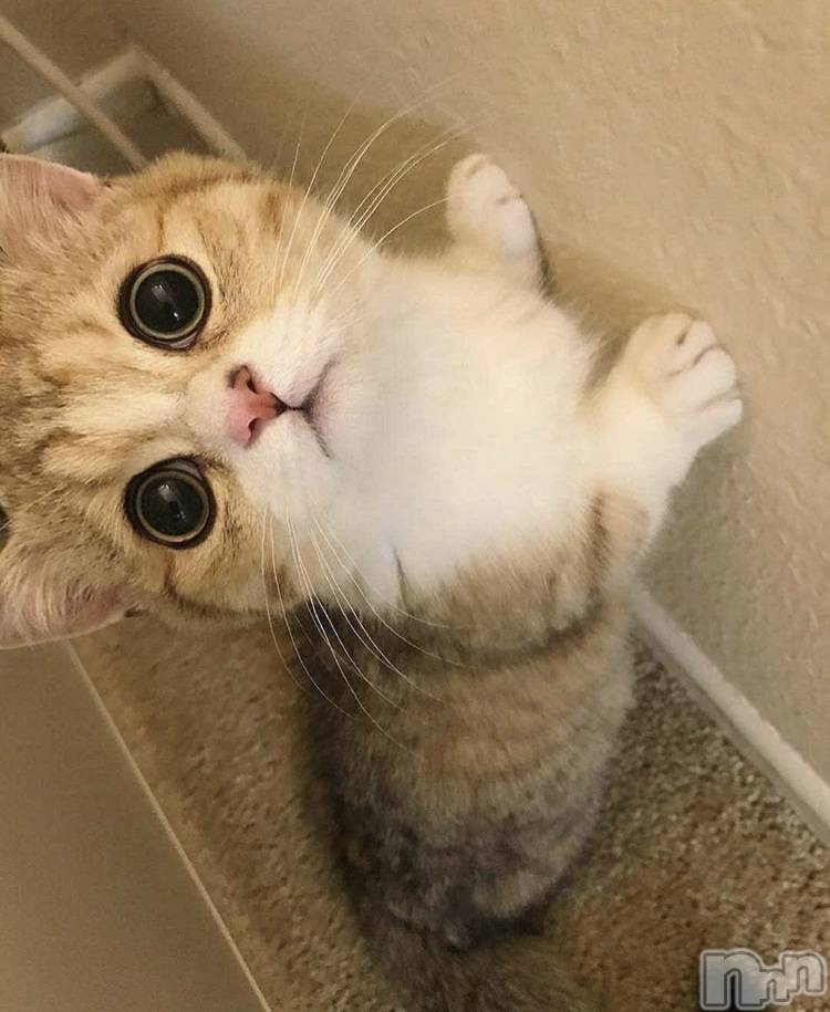 ��ˬ����Х��顦�����CLUB K����Prologue��(����֥���) ��2020ǯ10��19���̥�֥�����(♥)��