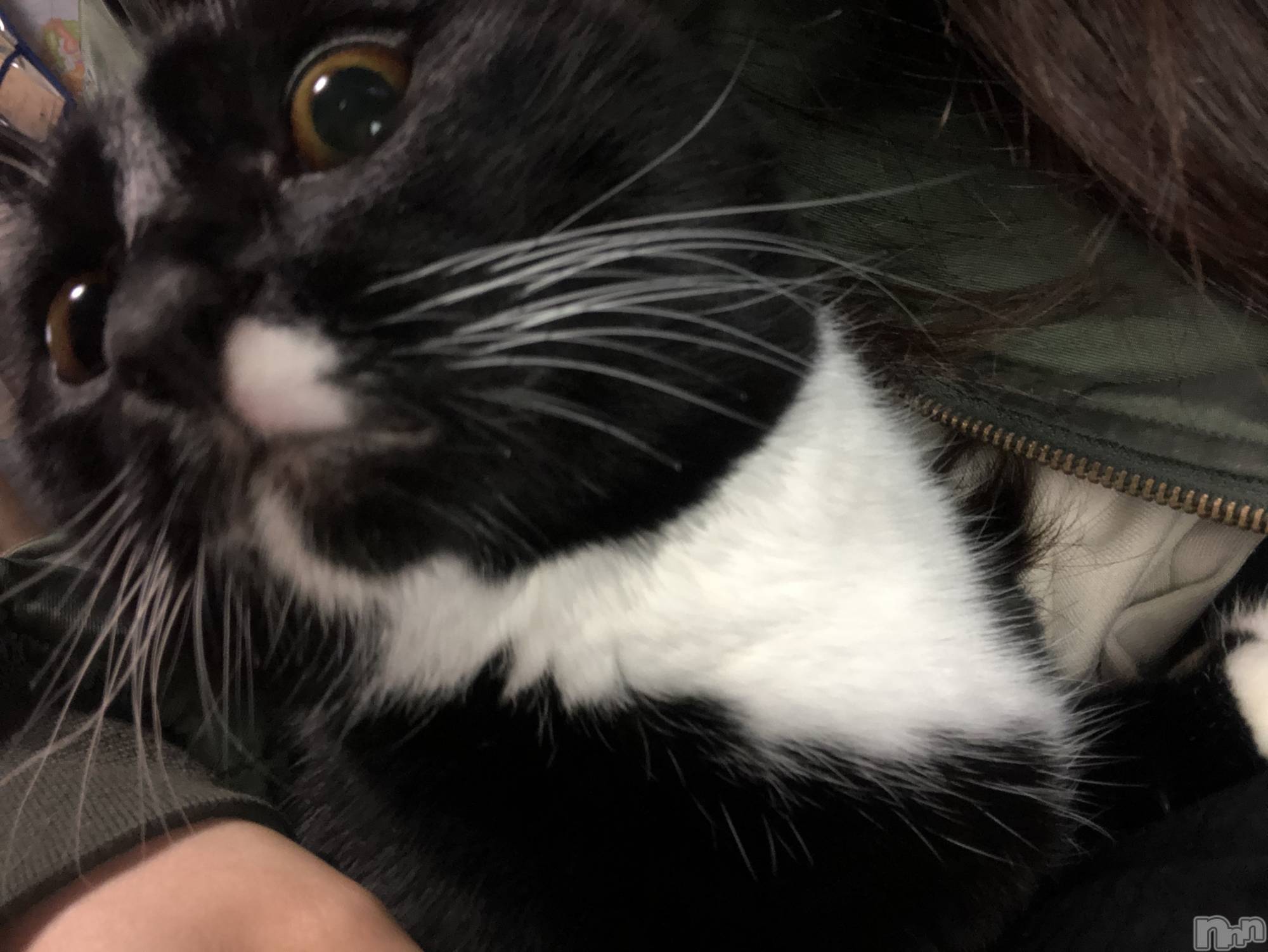 ��ˬ����Х��顦�����CLUB K����Prologue��(����֥���) ��2020ǯ11��18���̥�֥�����(♥)��