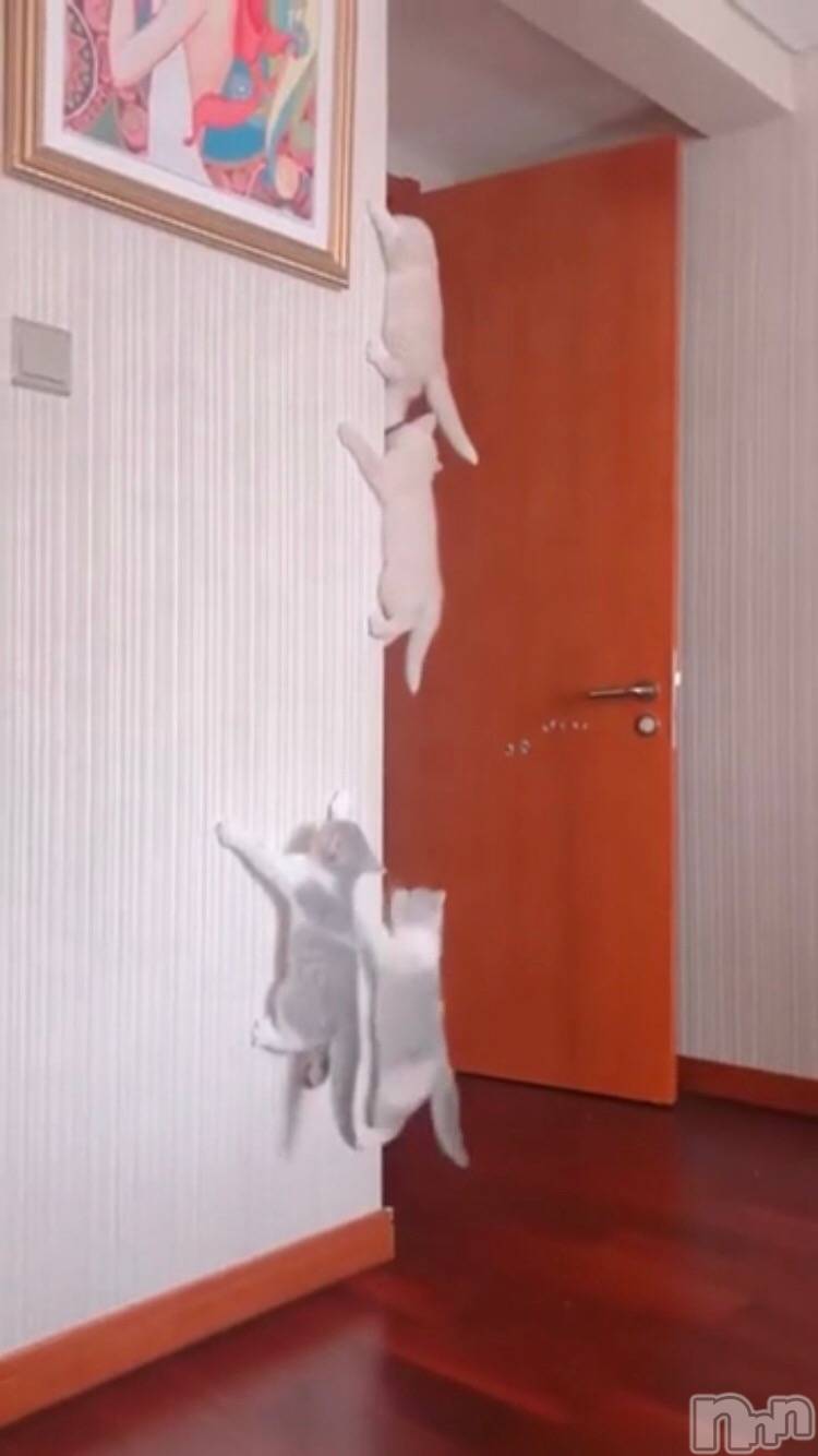 ��ˬ����Х��顦�����CLUB K����Prologue��(����֥���) ��2021ǯ3��2���̥�֥�����(♥)��