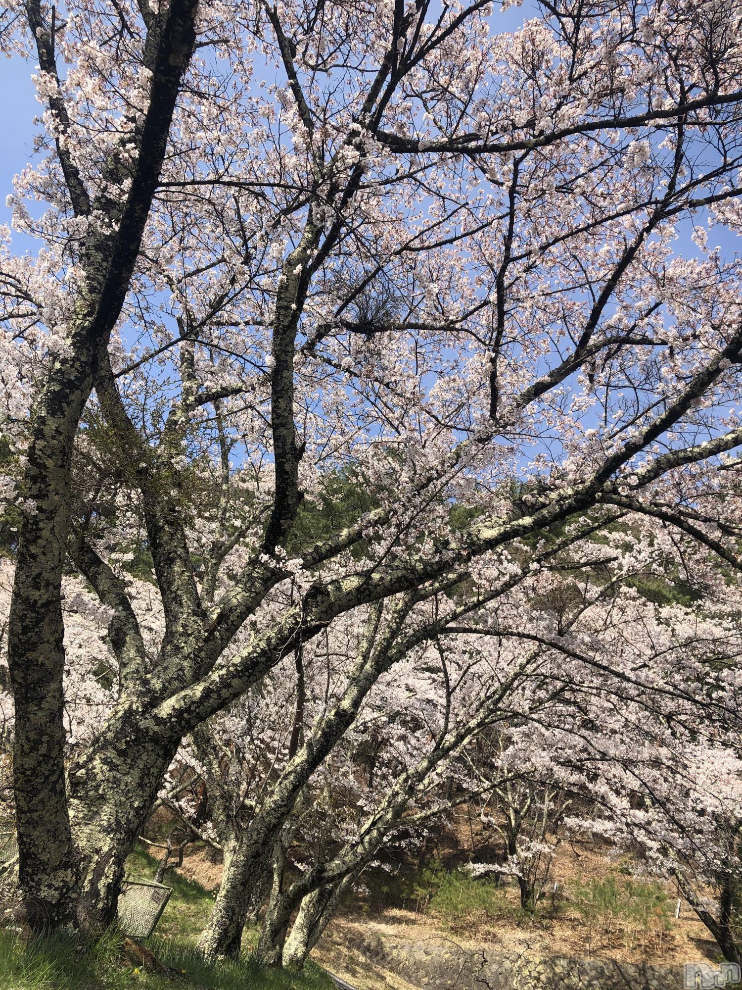 ��ˬ����Х��顦�����CLUB K����Prologue��(����֥���) ��2021ǯ4��21���̥�֥�����(♥)��