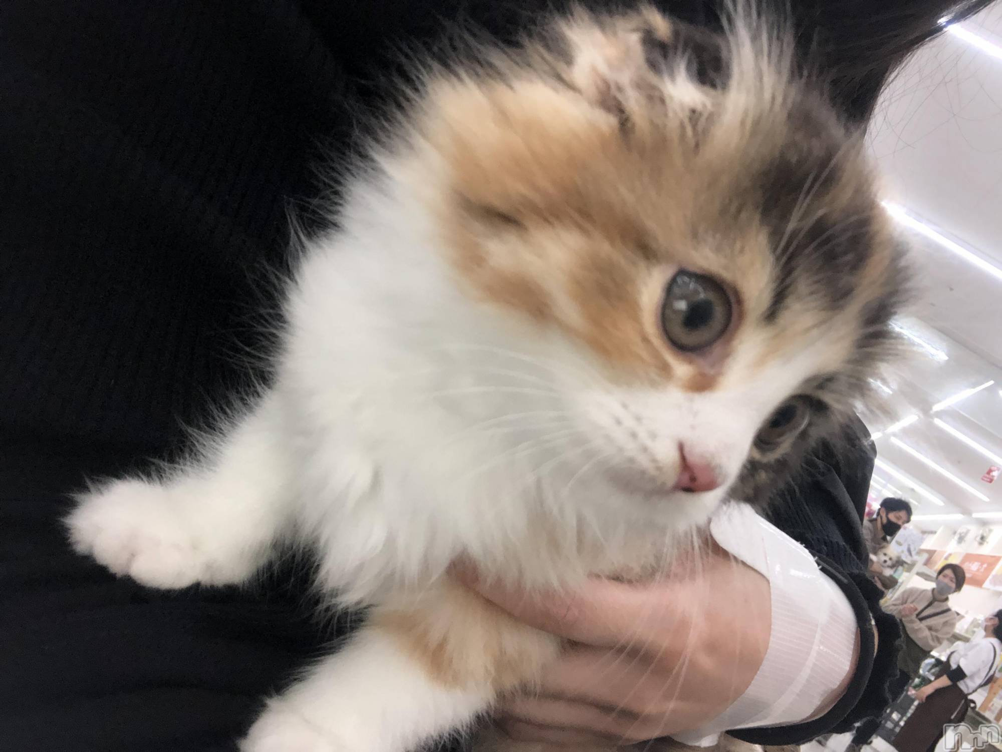 ��ˬ����Х��顦�����CLUB K����Prologue��(����֥���) ��2021ǯ5��4���̥�֥�����(♥)��