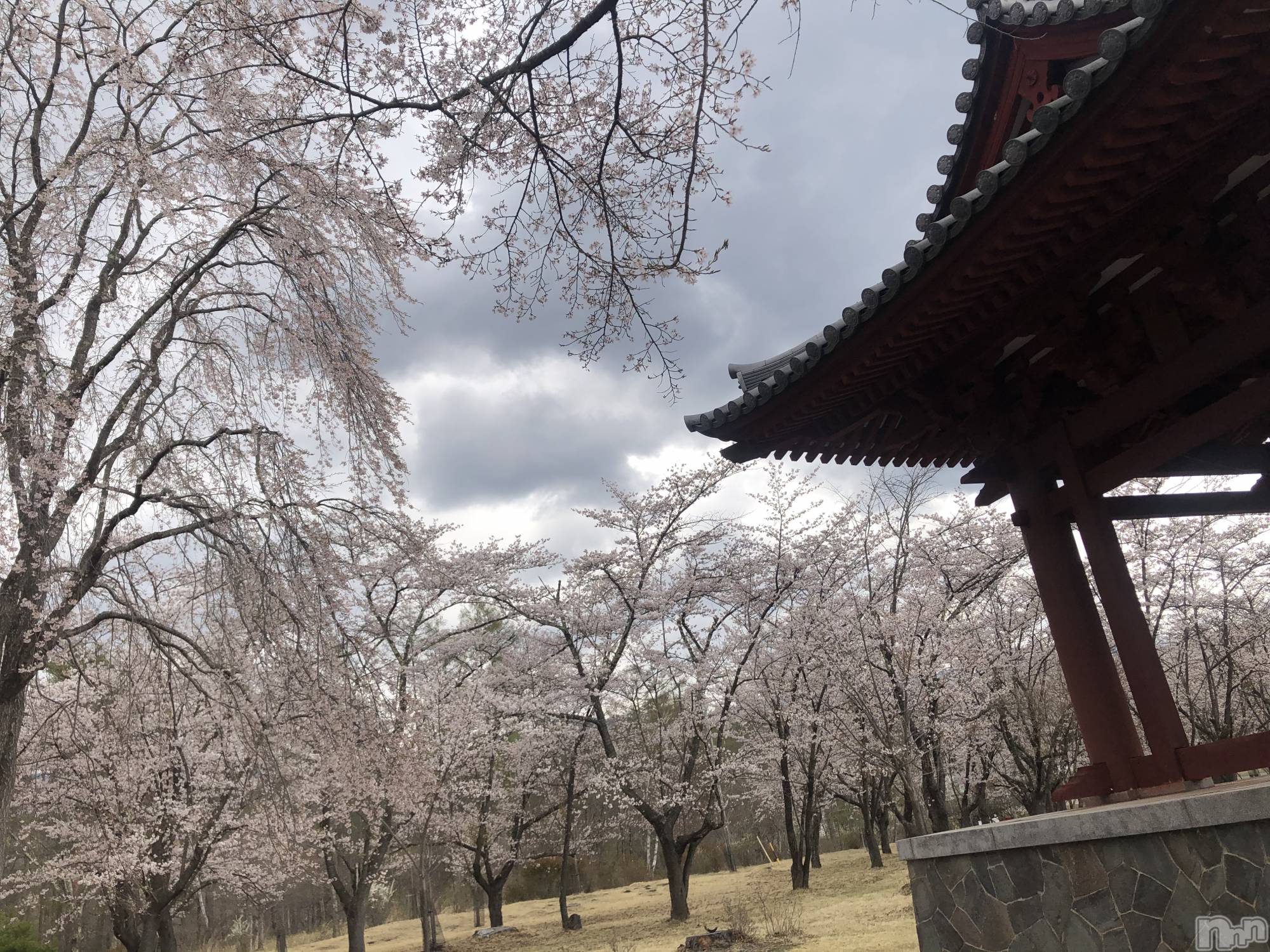 ��ˬ����Х��顦�����CLUB K����Prologue��(����֥���) ��2021ǯ5��5���̥�֥�����(♥)��