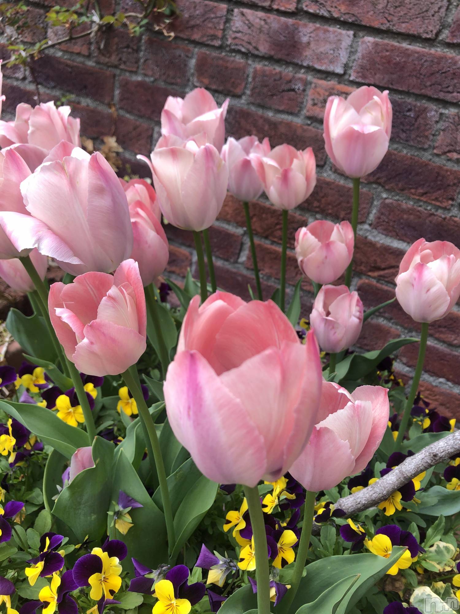 ��ˬ����Х��顦�����CLUB K����Prologue��(����֥���) ��2021ǯ5��16���̥�֥�����(♥)��